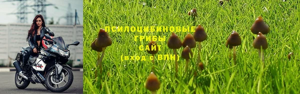 2c-b Нефтегорск