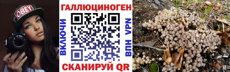 цена   Унеча  Псилоцибиновые грибы Magic Shrooms 