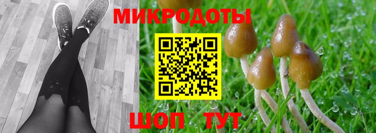 Псилоцибиновые грибы ЛСД Унеча