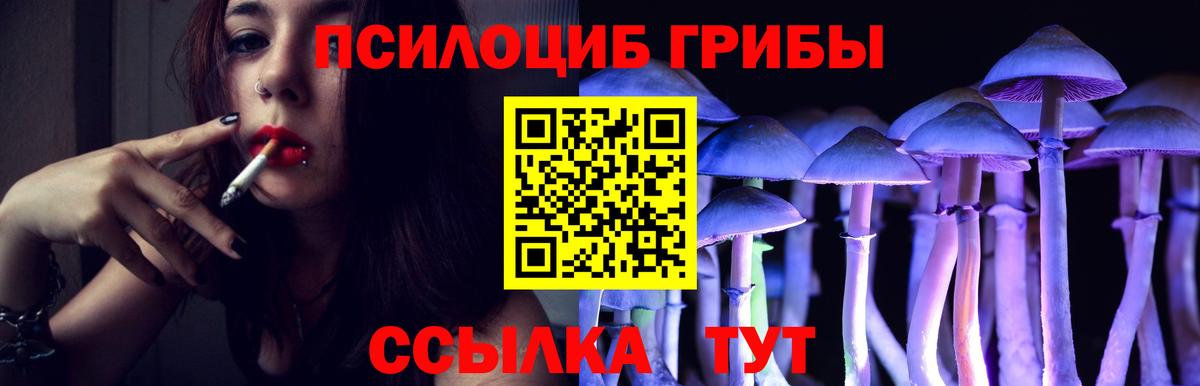 Псилоцибиновые грибы Psilocybe  Псилоцибиновые грибы мухоморы  Унеча  Вход с VPN 